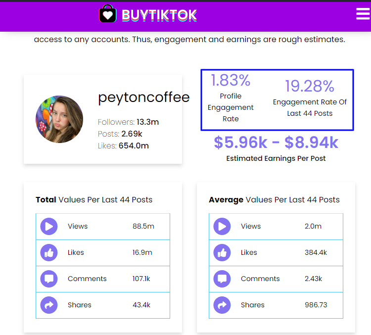 TikTok Money Calculator from PubTok